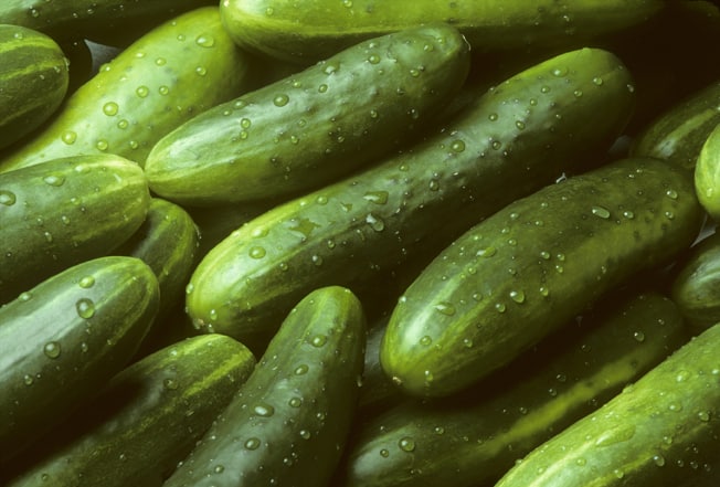 Cucumber Cucumber
