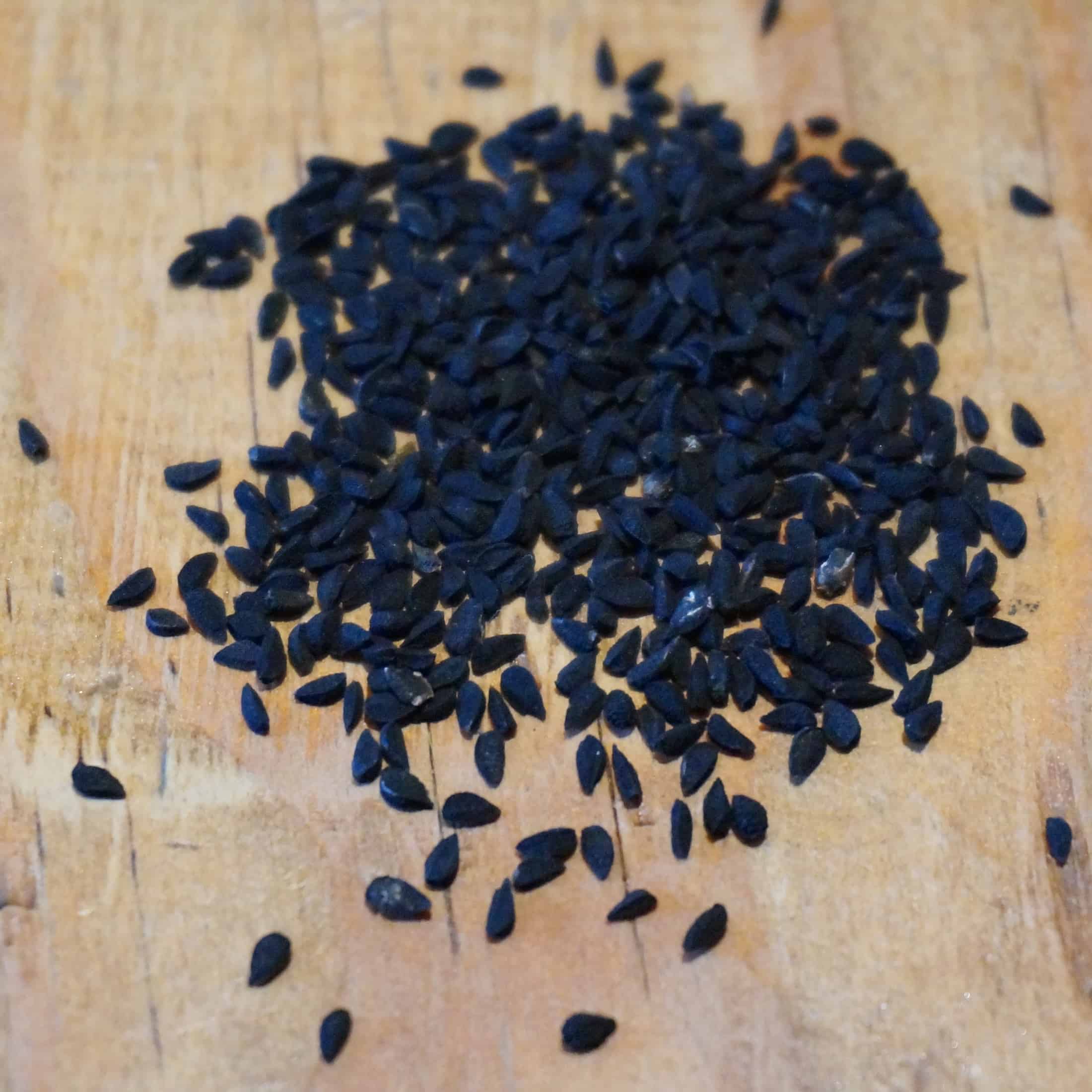Nigella Nigella flower and seed pod