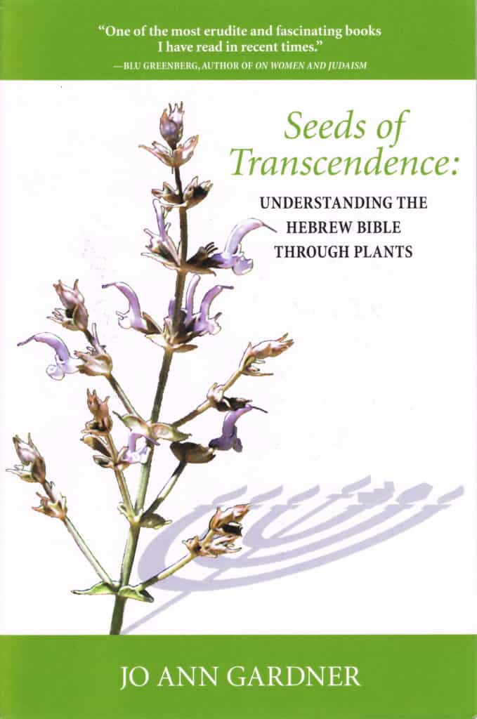 Seeds of Transcendence book cover JoAnn Gardner