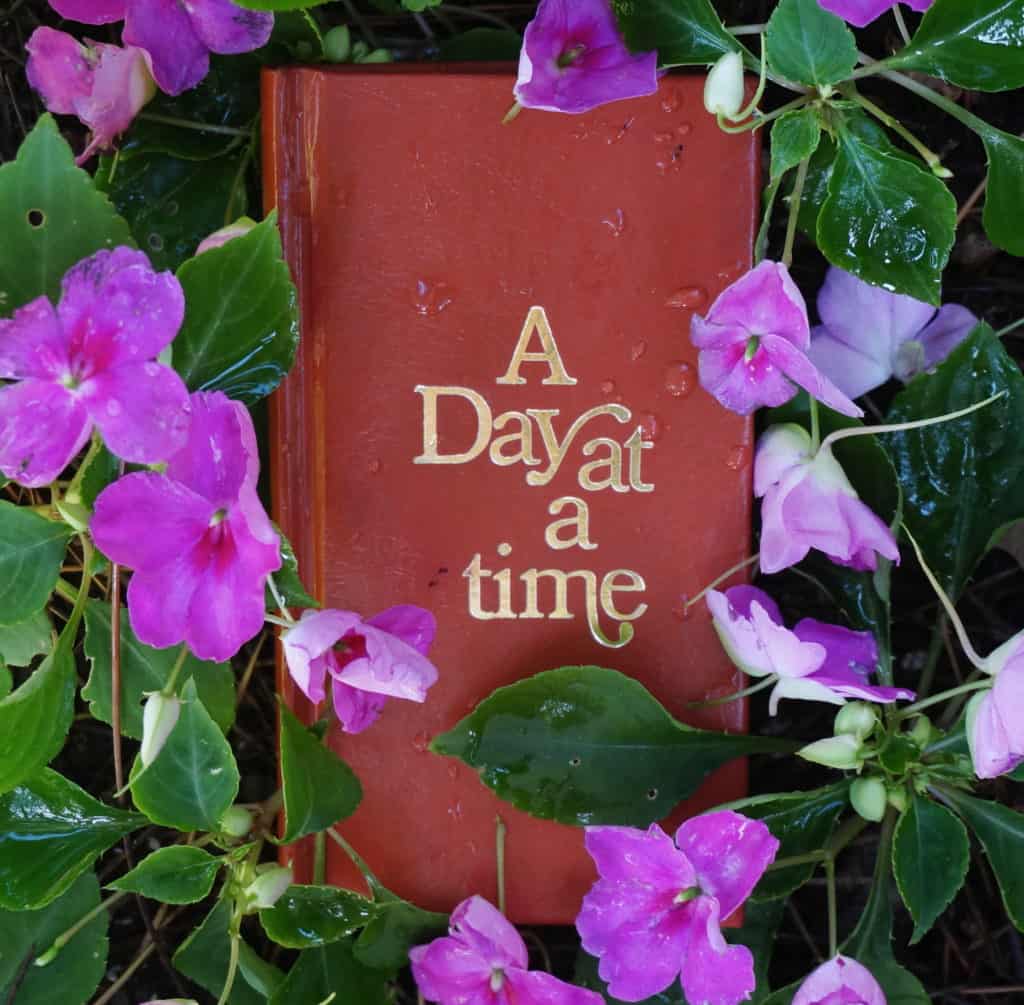 A Day at a Time little AA book