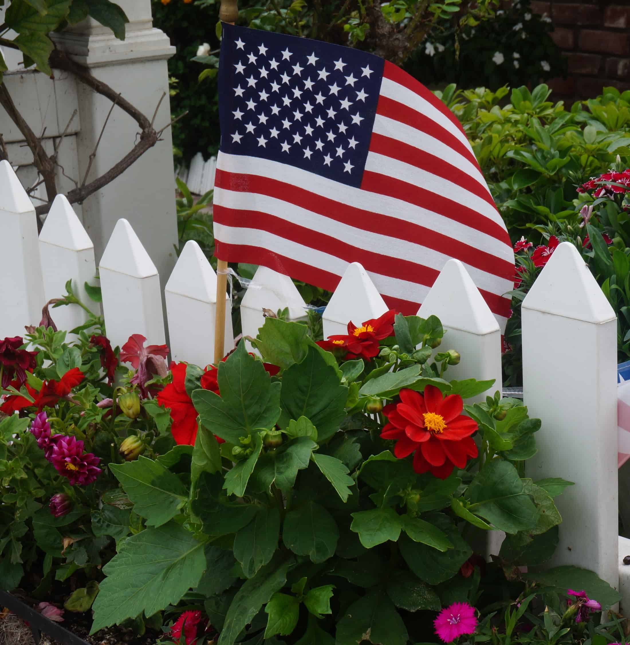 Happy Independence Day! Garden In Delight