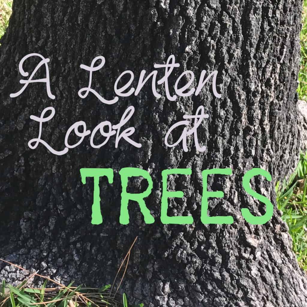 Lenten Look at Trees meme