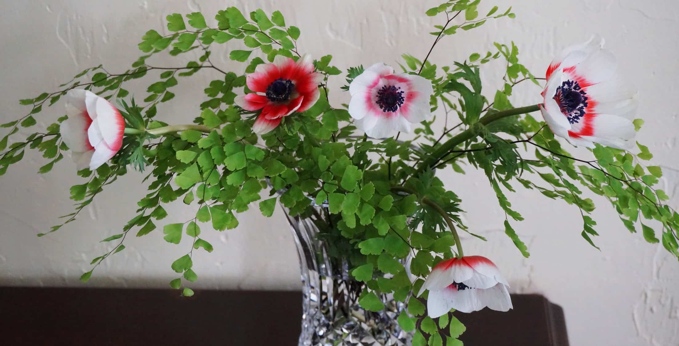 maidenhair fern with crown anemones in a vase