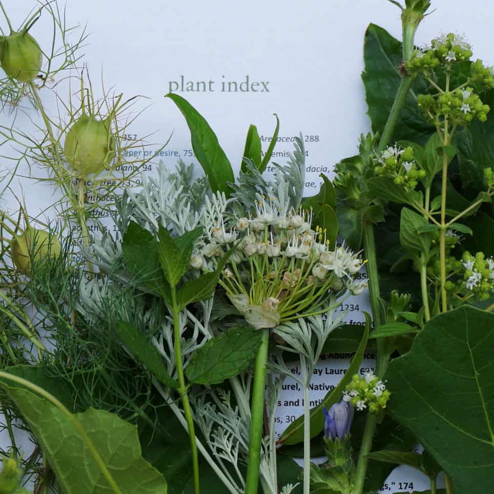 plants index title page with BIble garden plants including herbs of the bible