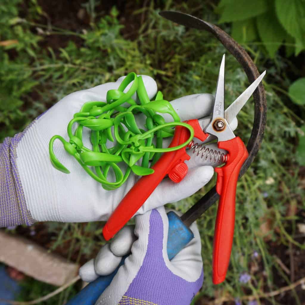 garden tools in hand