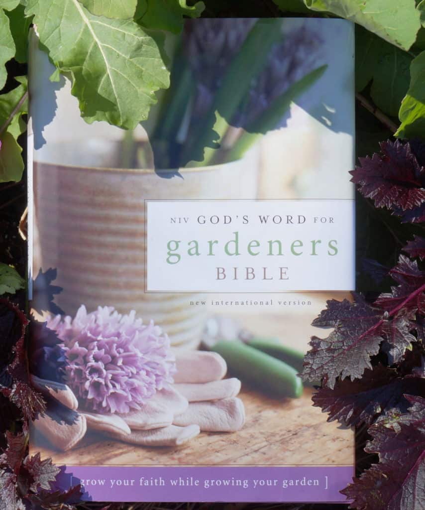 Gods Word for Gardeners book in mustard greens