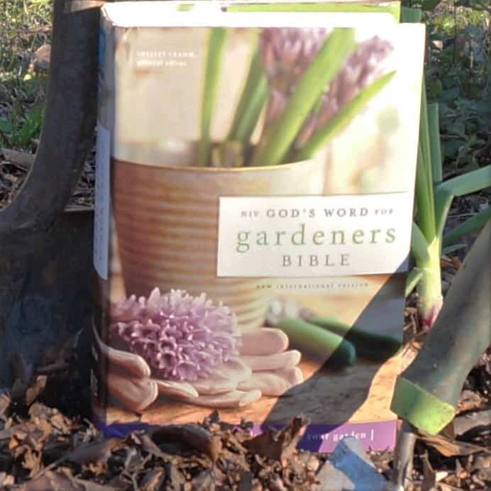 dig into garden prayer - Bible in a garden bed