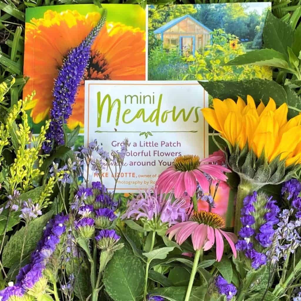 Mini-Meadows book cover covered in meadow flowers