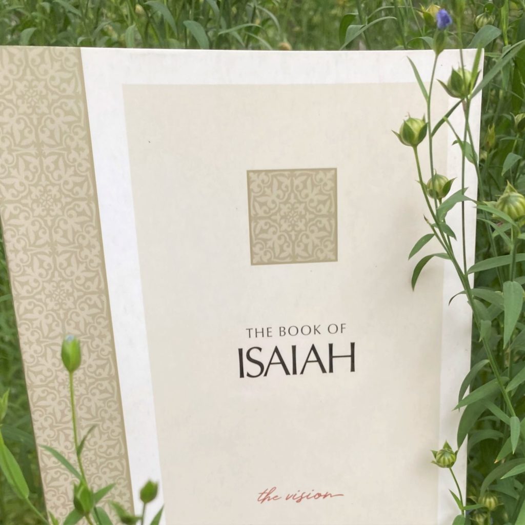 The Passion Translation Isaiah, The Vision