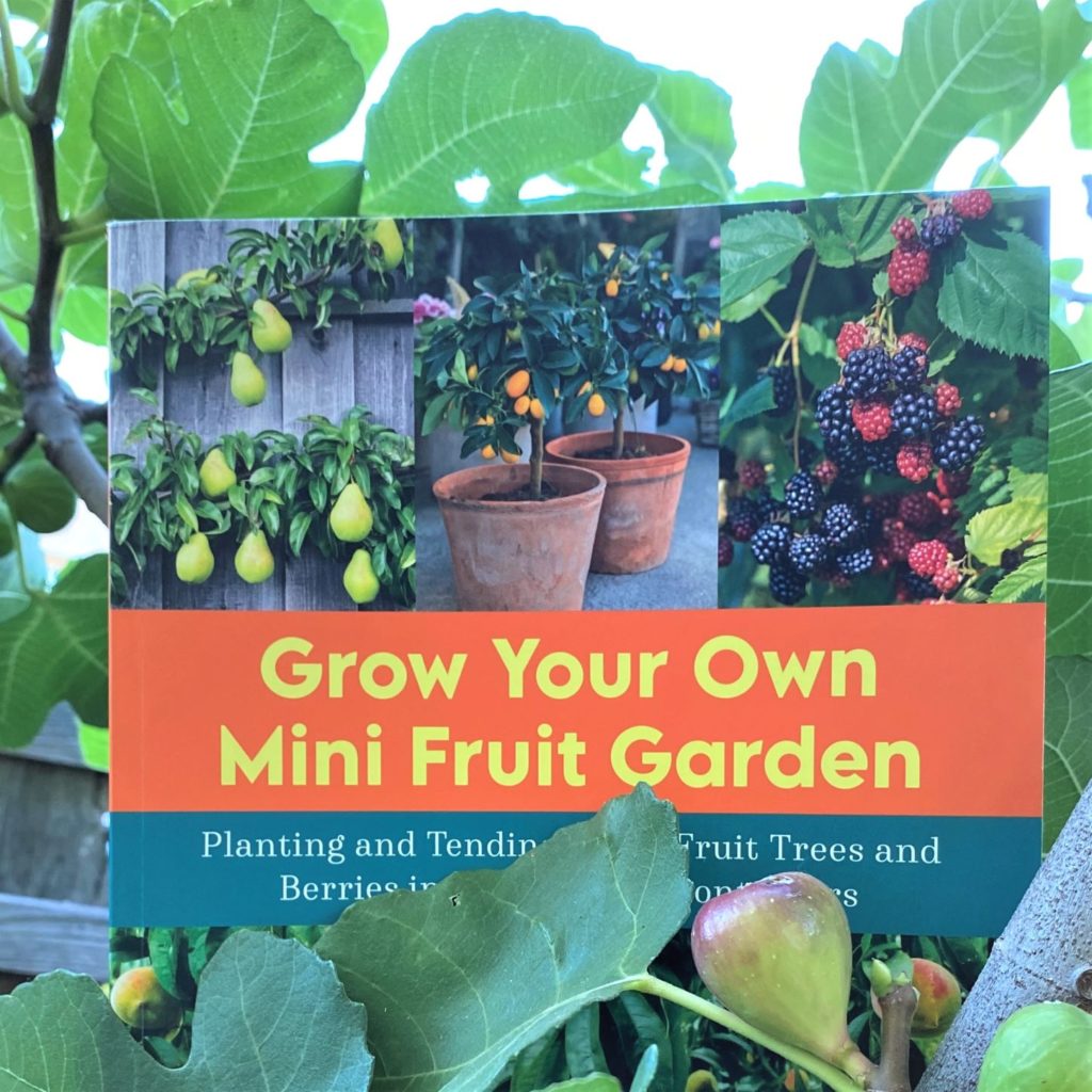 Grow Your Own Mini Fruit Garden book teaches to Be Fruitful
