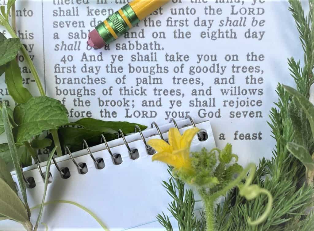 Bible plant lists from Leviticus 23:40 surrounded in greenery, pencil and pad ready