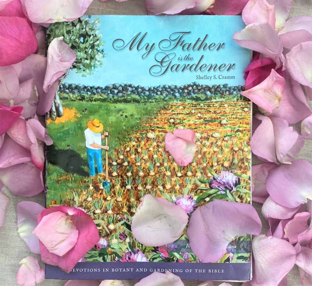 Shelley's new book My Father is the Gardener photographed in rose petals