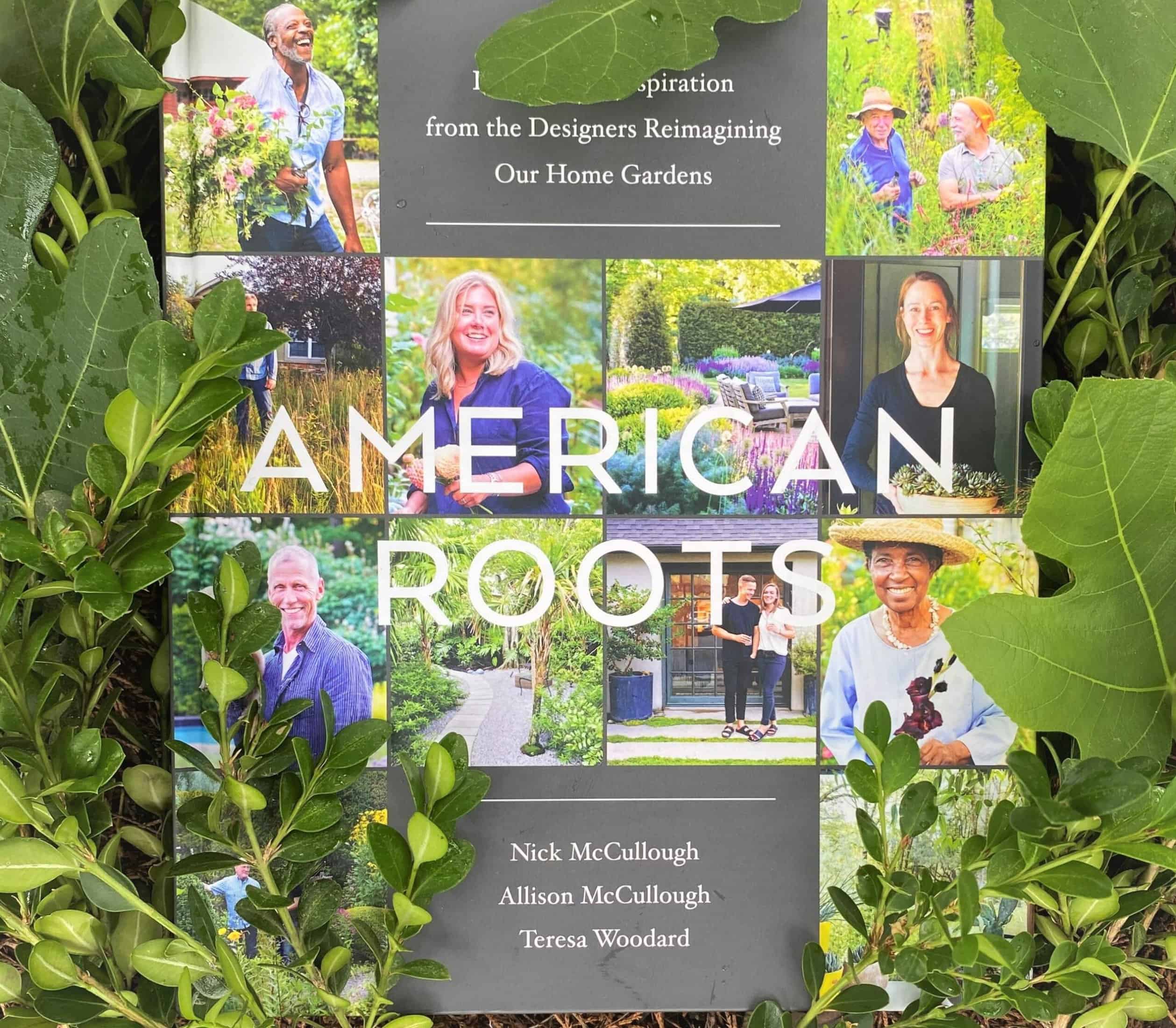 Hydrangea Roots: Foundation Wrecker Or Garden Delight? - af3gxw2