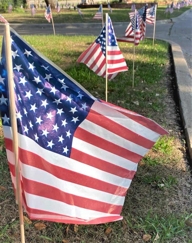 sweet flags for celebrating 4th of July
