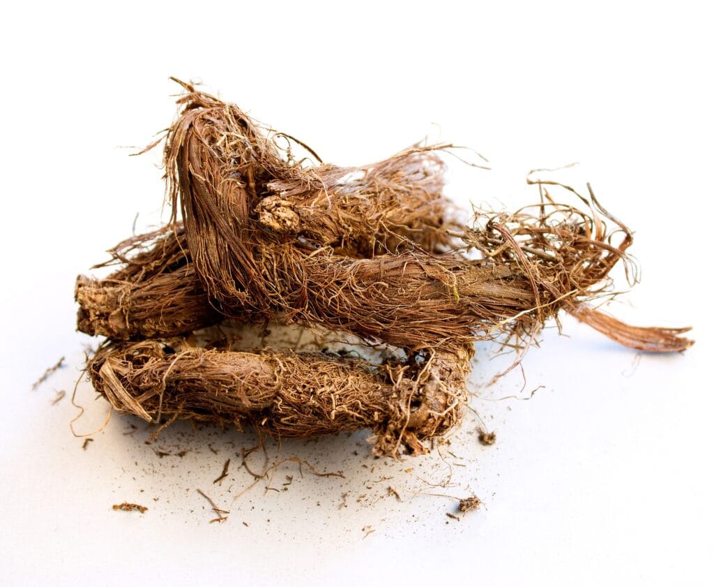 fragrance everywhere from spikenard root