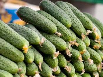 cucumbers stacked for sale at market