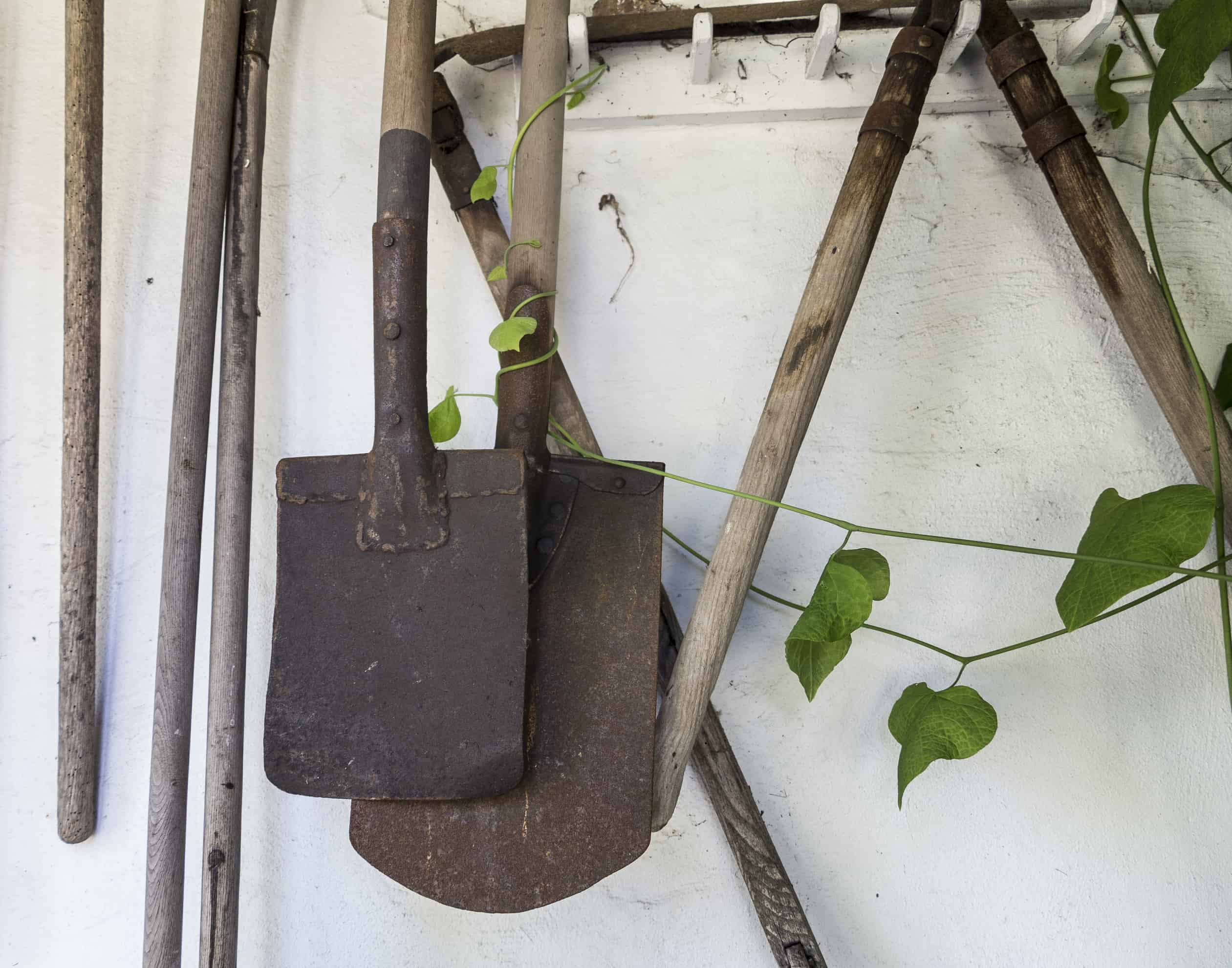 The Social Impact of Greening the City
