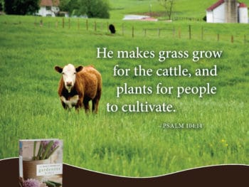 Psalm 104:14 plants to cultivate