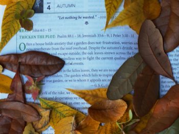 Fall devotions from NIV God's Word for Gardeners Bible