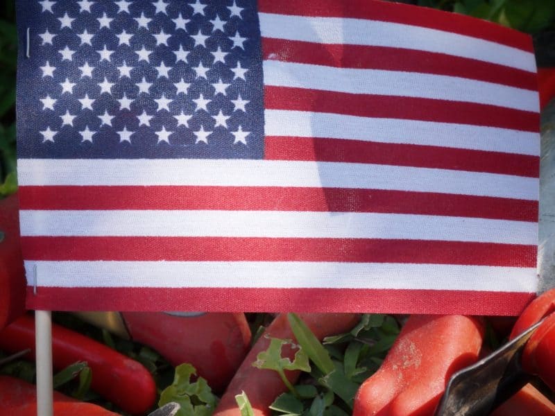 GArden in Delight honors Patriots Day