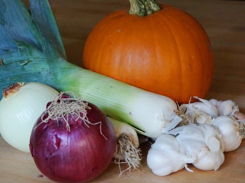 A still life of leeks, onions and garlic before being diced and chopped for Wandering the Sinai Soup