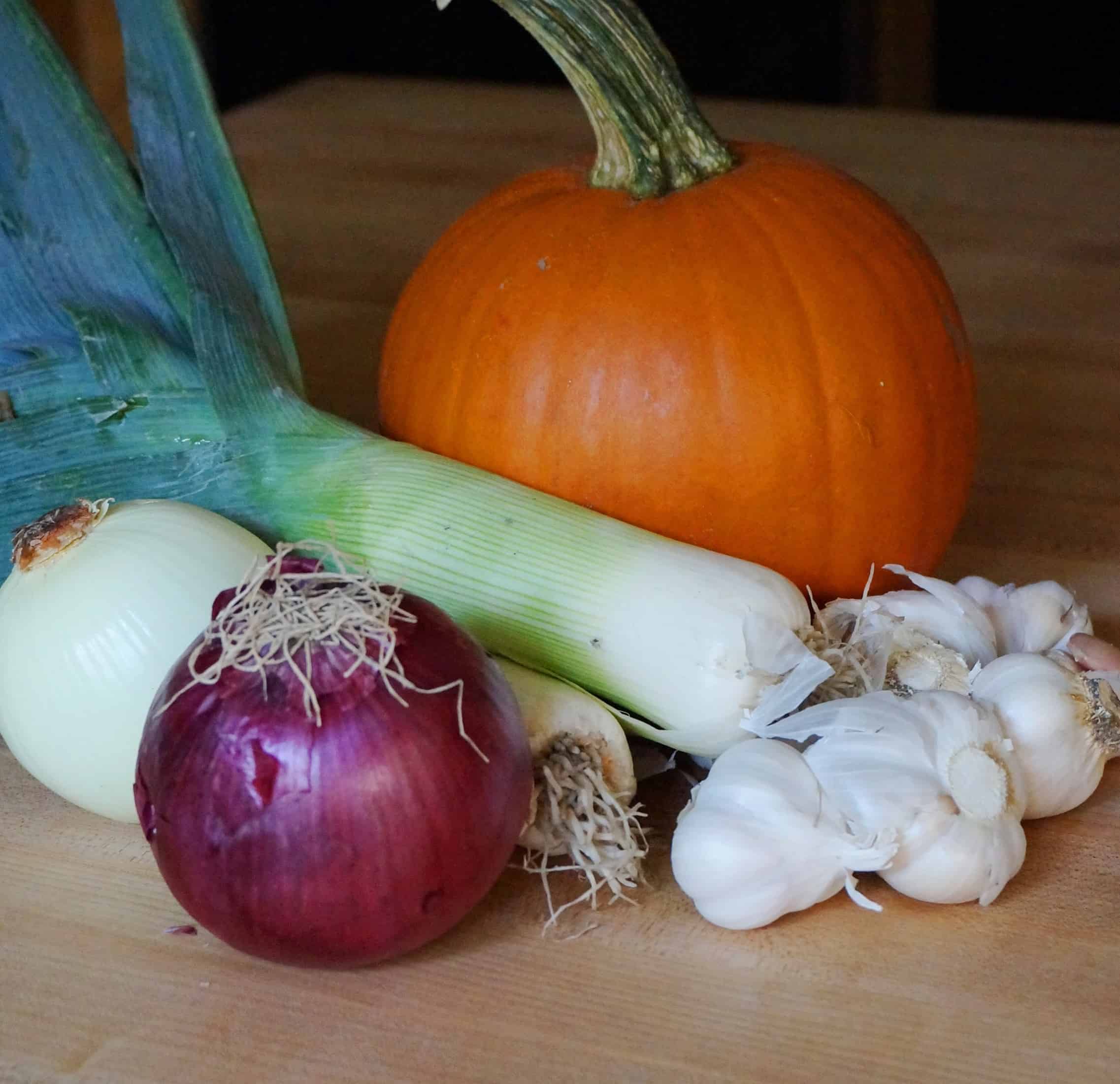 Leeks, Onions and Garlic Start a Soup Recipe Garden In Delight