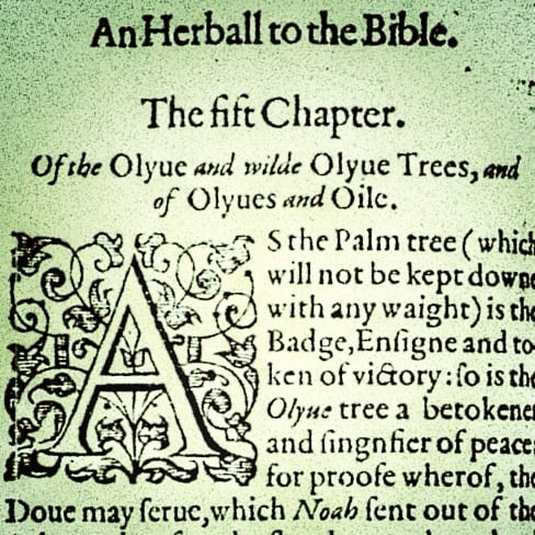 Herball of the Bible, the original Bible plant book from 1587