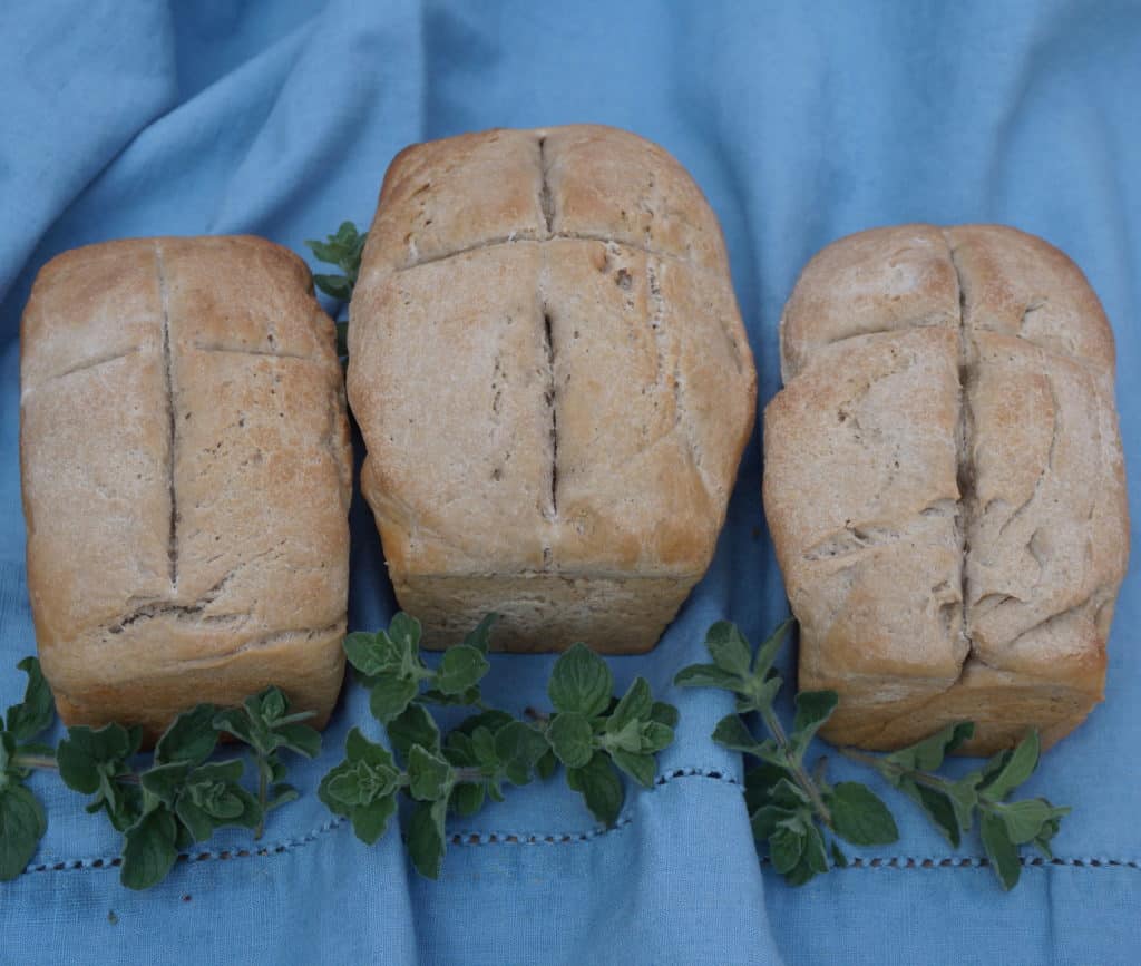3 barley loaves and hyssop sprigs