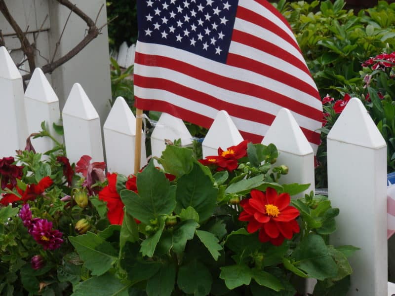 flowerbox and flag