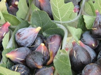 figs at market © Studioportosabbia | Dreamstime.com