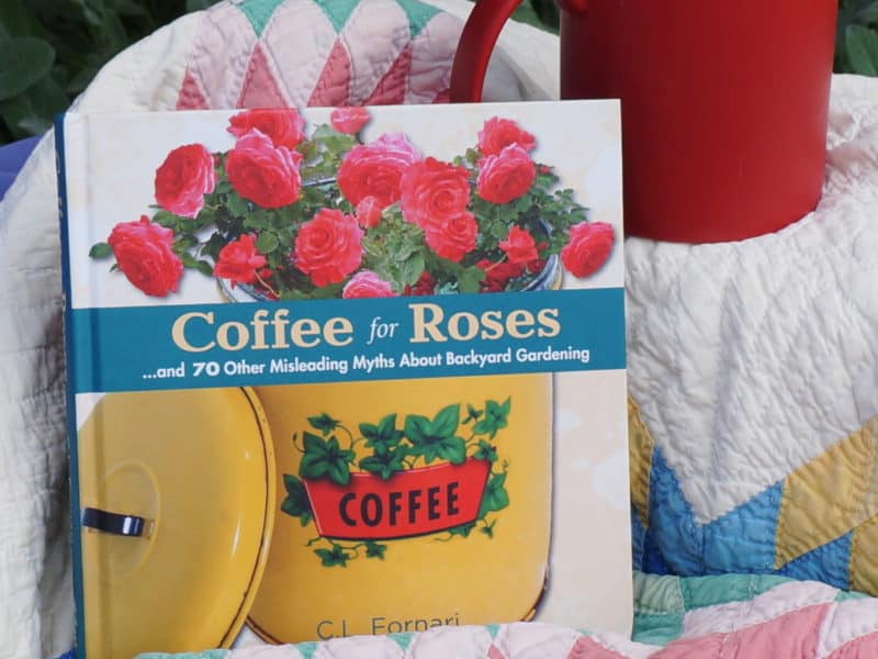 Coffee for Roses review