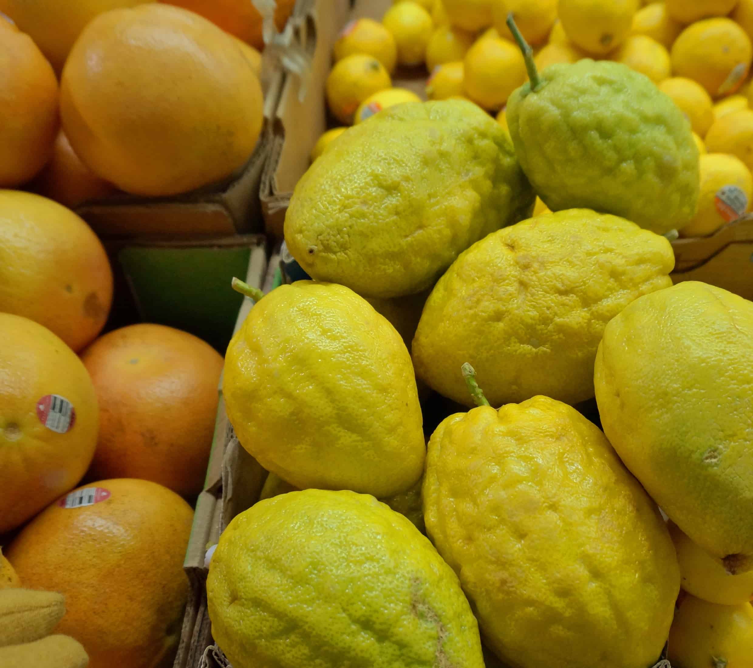 Citron Citron