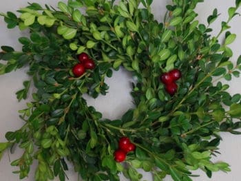 boxwood-cranberry wreath