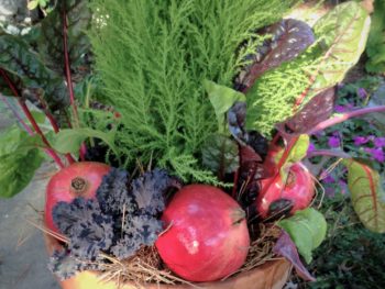 winter greens with merry pomoegranates