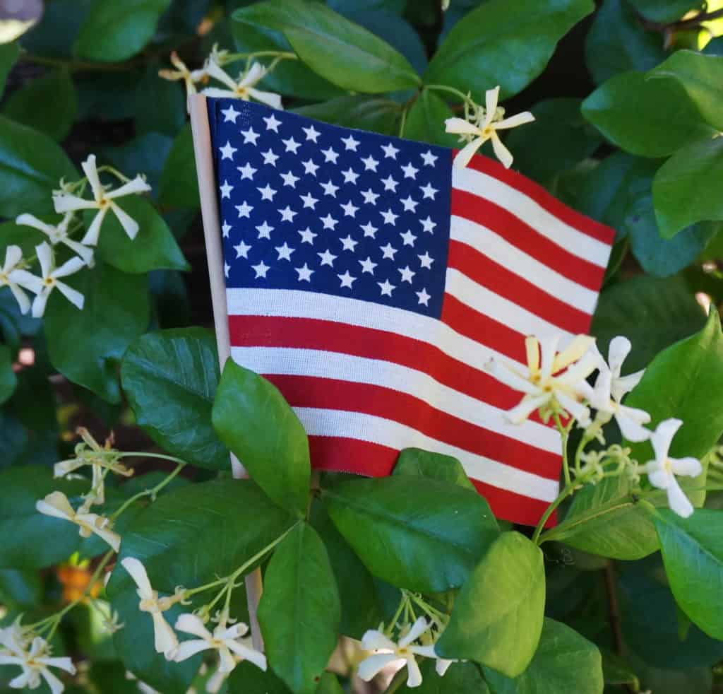 US flag in star jasmine for the national day of prayer