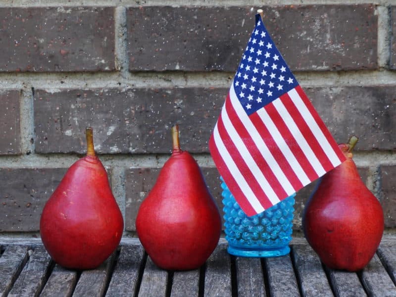 Patriot Day red pears