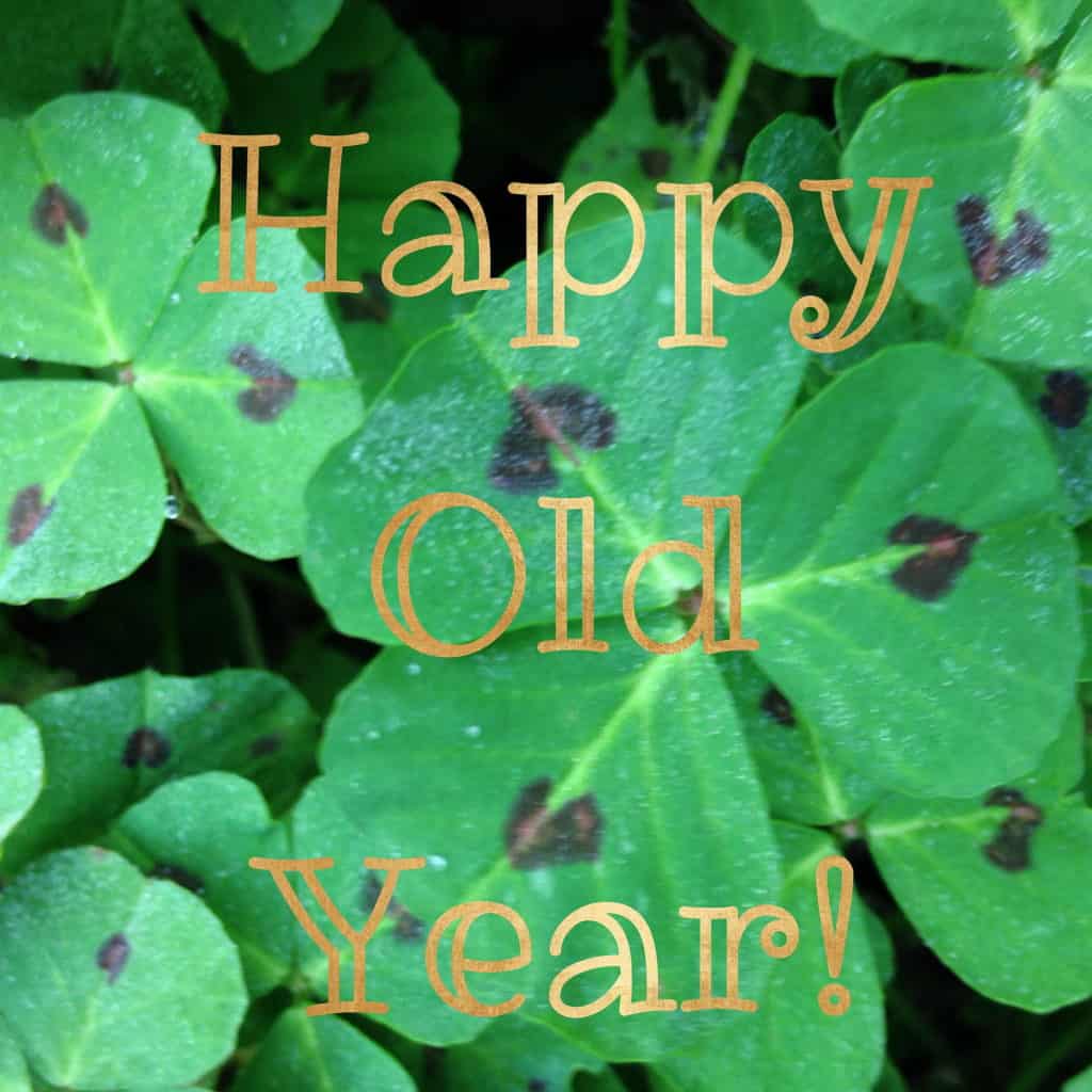happy old year in a field of heart-kissed clovers