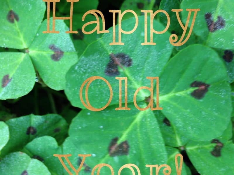 happy old year in a field of heart-kissed clovers
