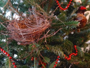 bird nest decorates a Christmas tree