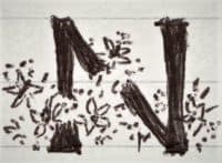 Ode to Nigella - Garden In Delight