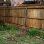 garden corner "Before" planting 'olive martini' TM elaeagnus