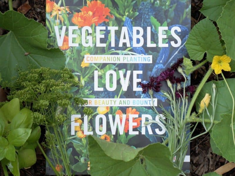 recommended summer reading Vegetables Love Flowers Lisa Mason Ziegler