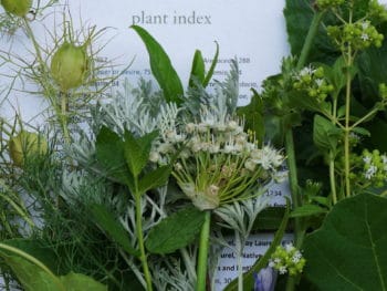 plants index title page with BIble garden plants