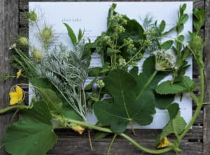 plants of Bible burst off pages