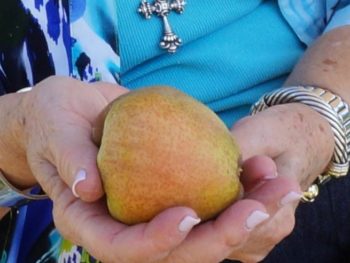 gift in hand from Carol Miller Kelley Orchard