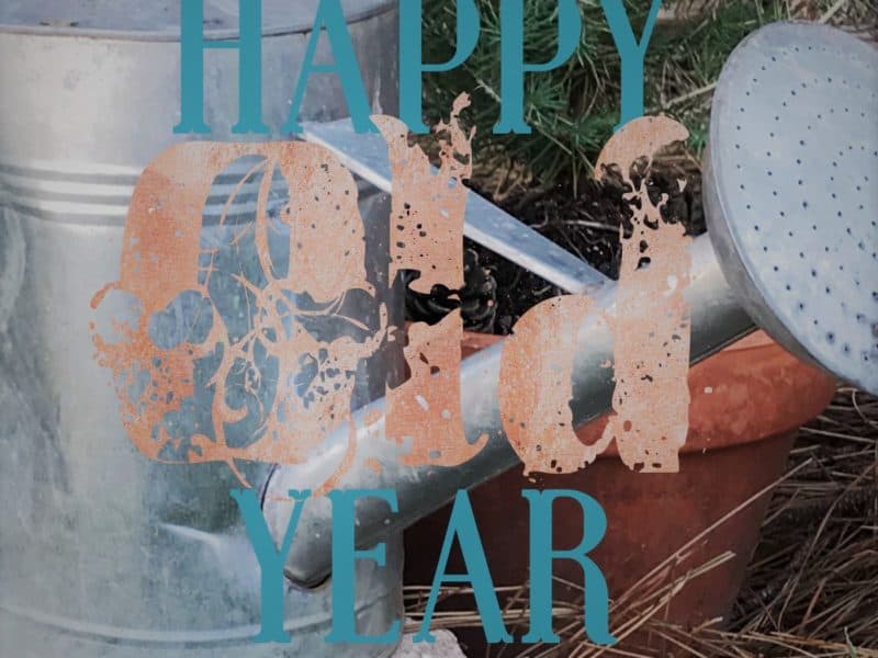 Happy Old Year garden review