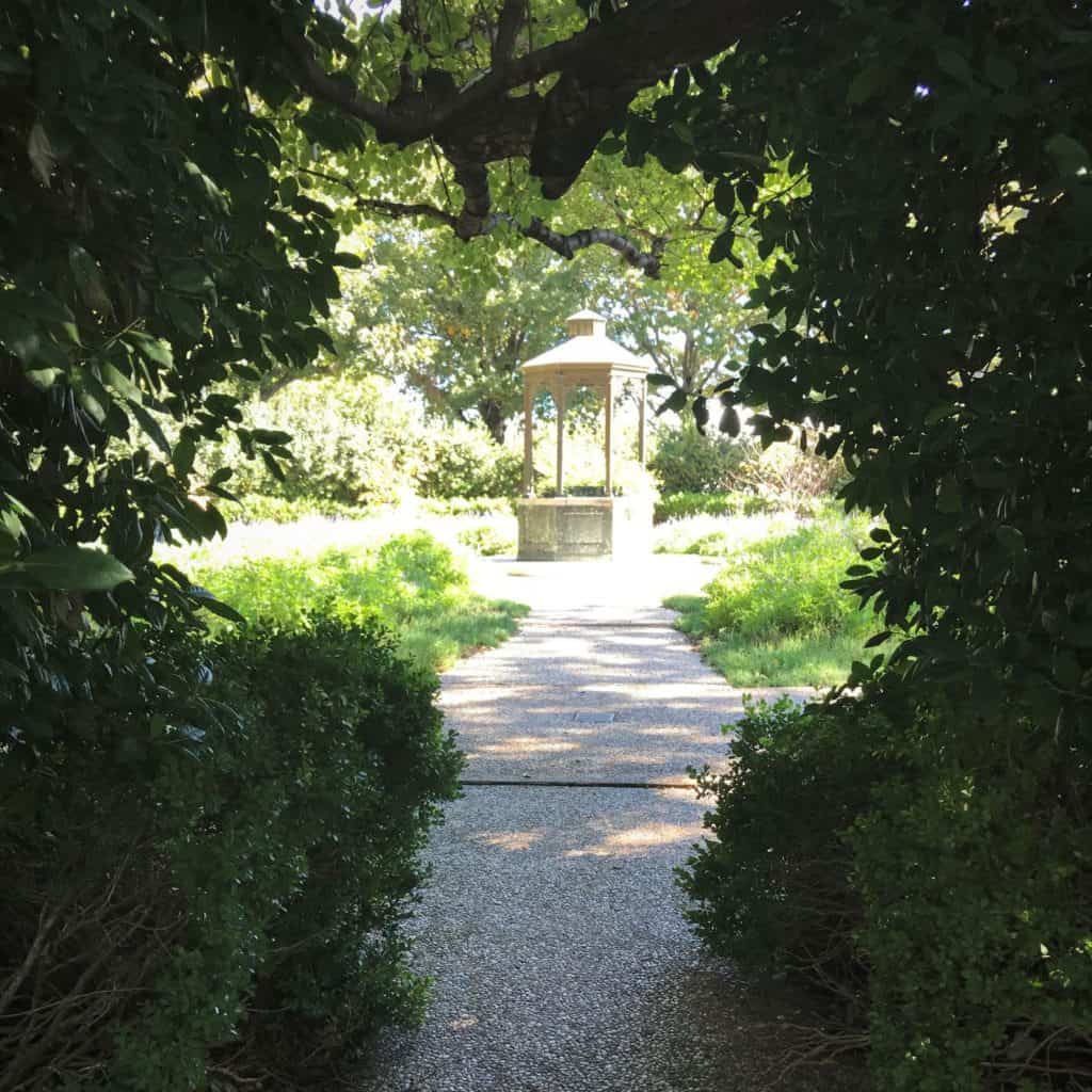a peek to the secret garden at Texas Discovery gardens