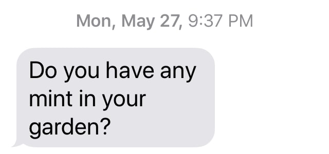 text message "Do you have any mint in your garden?"