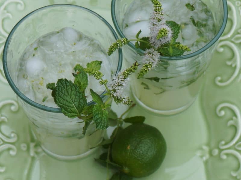 a pair of mint mocktails ready for a refreshing weekend