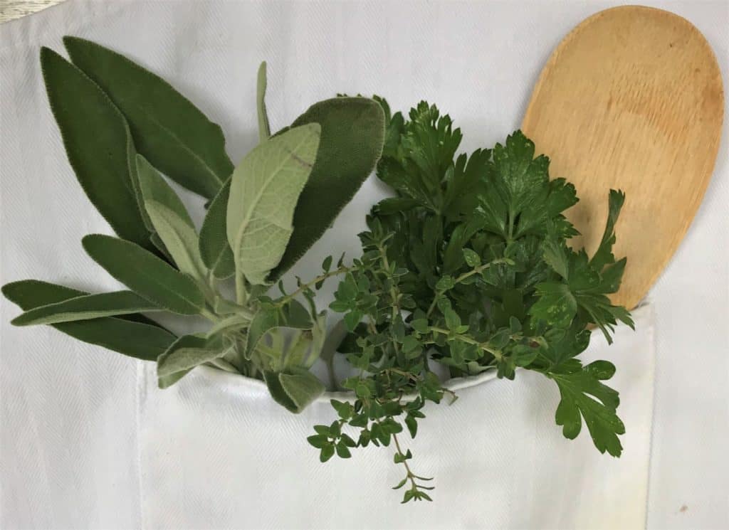 a cook's apron pocket full of herbs from the herb garden